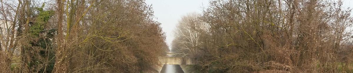 Fabbro Bareggio